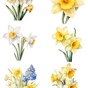 Papel de arroz para decoupage, papel de arroz con motivos de narcisos primaverales, papel para manualidades con motivos de narcisos, papel para álbumes de recortes, papel para collages florales primaverales, n.º 4297
