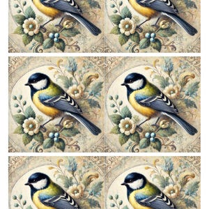 Papel de arroz para decoupage, hoja de collage de pájaro en la rama, papel morera con pájaros románticos, papel de decoupage único para manualidades, arte de álbum de recortes