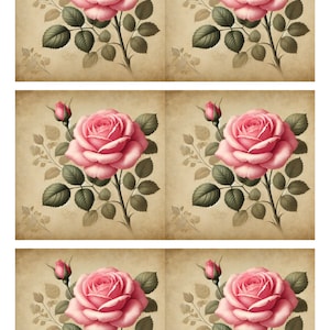 Papel de arroz para decoupage, hoja de collage rosa rosa Shabby Chic, diario basura, medios mixtos, diario, Shabby Chic, 1 hoja única A4 Vintage