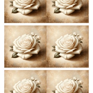 Vintage White Rose Rice Paper: A4 Decoupage Sheet