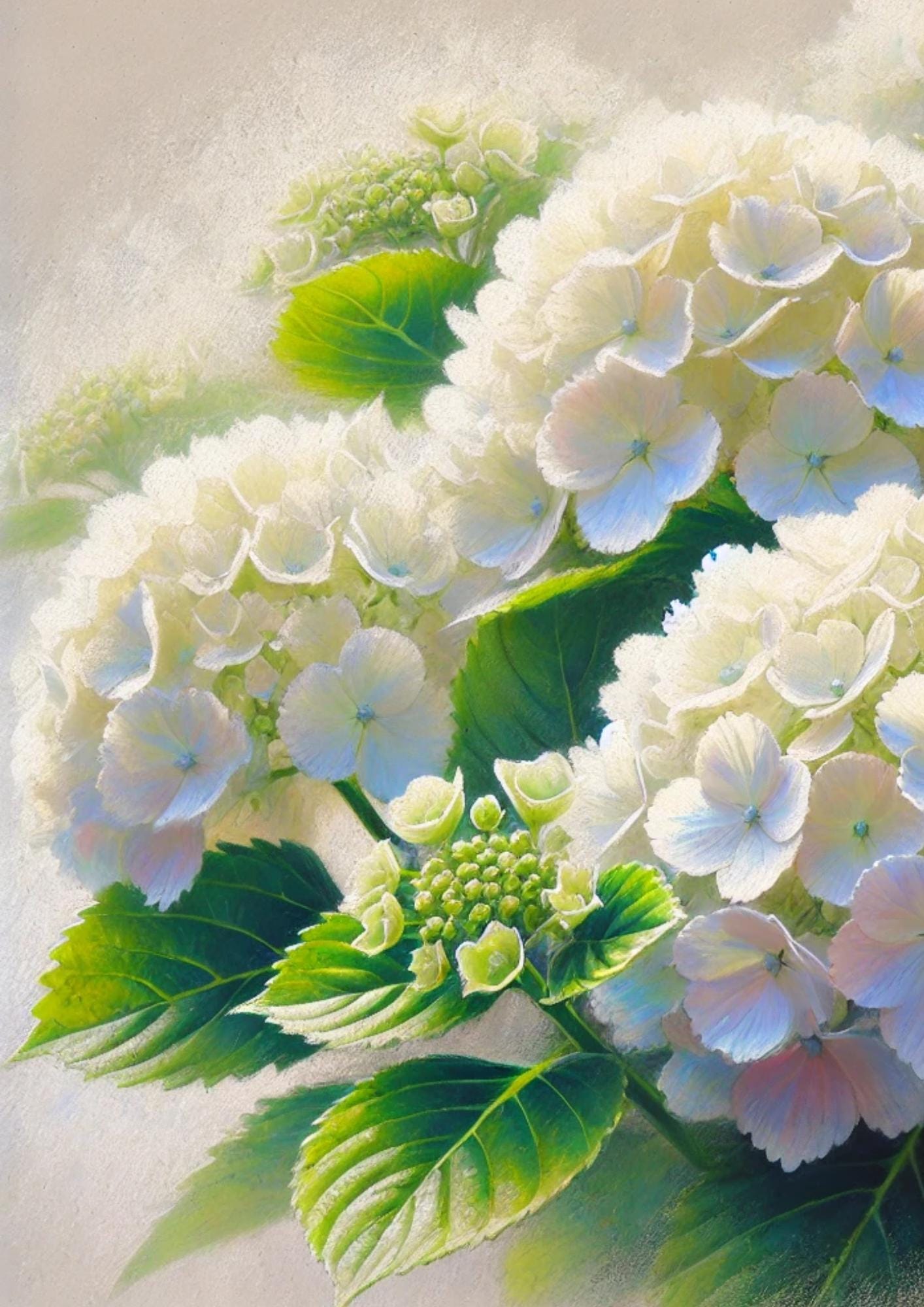 Hydrangea Rice Paper White Hydrangea Decoupage Rice Paper: A4 Craft Sheet - Etsy