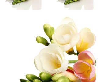 Freesia Flower Collage Rice Paper - A4 Decoupage Paper