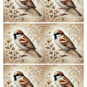Papel de arroz con collage de gorriones estilo shabby chic, papel de decoupage de pájaros vintage, decoración rústica para el hogar, materiales para hacer tarjetas, decoupage para principiantes
