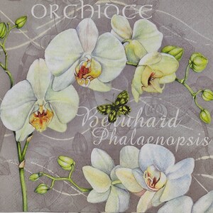Orquídea en gris 4 servilletas de papel de almuerzo individuales para decoupage Craft Collage Journal Crafting Ephemera Decopatch Art. Hermosa orquídea