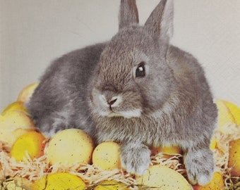 Servilletas de papel con diseño de conejito de Pascua: Servilletas para decoupage y manualidades (Juego de 4)