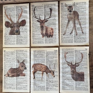 Deer themed dictionary prints, wall gallery prints, book page wall art