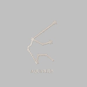 AQUARIUS Constellation Embroidery design file PES 4x4 machine zodiac sign astrology stars moon sun rising witch witchy horoscope trendy