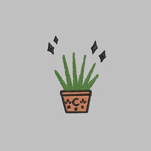 May include: A potted succulent plant with green leaves and a terracotta pot with a crescent moon and stars design.