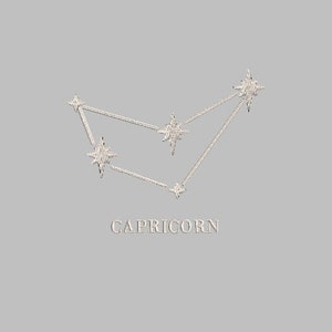 capricorn Constellation Embroidery design file PES 4x4 machine zodiac sign astrology stars moon sun rising witch witchy horoscope trendy