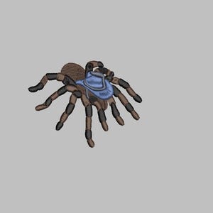 May include: Embroidered tarantula design with a brown body, black legs, and a blue saddle-like marking. The spider is depicted with its legs spread, giving the impression of movement. The design is set against a plain gray background.
