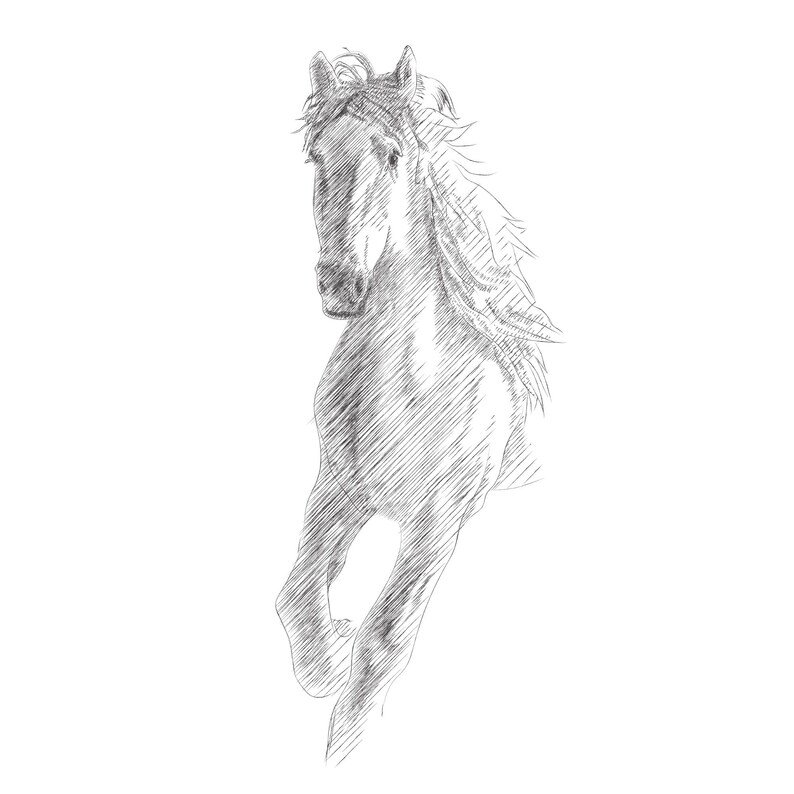 Minimalist Horse Drawing Sketch Print Printable Wall Art Etsy