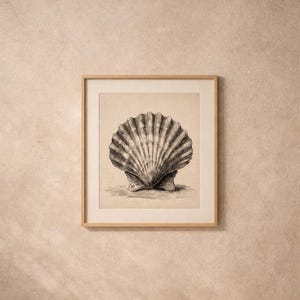 Puede incluir: Ilustración en blanco y negro enmarcada de una concha de vieira. La concha está detallada con líneas texturizadas y se encuentra sobre un fondo neutro. La obra de arte está en un marco de madera clara.