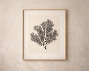 May include: A framed print featuring a detailed black and white illustration of a sea fan. The artwork is set against a cream-colored background, encased in a light wood frame, and displayed on a neutral-toned wall.