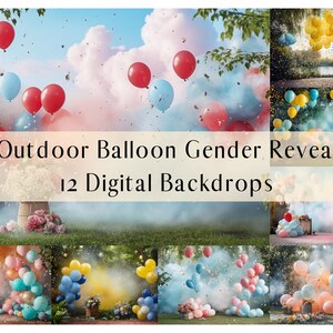Gender Reveal Digital Backdrops, Balloon Confetti Party backdrops, Maternity Family Photography Digital Background, Photoshop Overlays