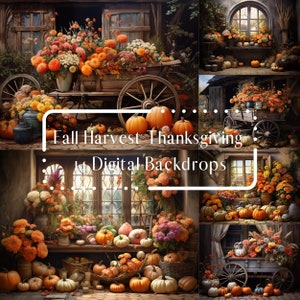 Fall Harvest Thanksgiving Digital Backdrops, Composite Digital Background, Studio Backdrop Autumn, Photoshop, Photography Digital Background