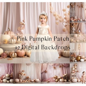 12 Pink Pumpkin Patch Digital Backdrops, Studio Backdrops Cake Smash,  Photoshop overlays, Composite Photography Digital Background, Autumn