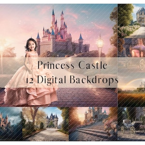 Princess Castle Digital Backdrops for Composite Photography, Enchanted Studio Backdrop, Photography Digital Background, Photoshop overlays