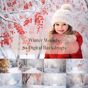 Winter Woods Snowy Forest Digital Backdrops, Composite Photography Digital Background, Christmas Wonderland Backdrops for Photo Editing
