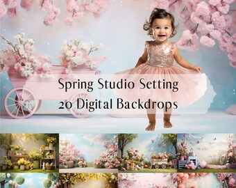 Bundle of 22 Springtime Whimsy Digital Backdrops, Easter Photo Props ...