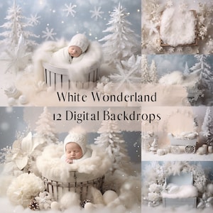 Toiles de fond numériques Winter White Wonderland, superpositions de photos composites de bébé nouveau-né, superpositions Photoshop, fond numérique de photographie de studio