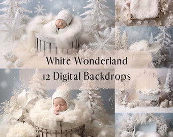 Winter White Wonderland Digital Backdrops, Newborn Baby Composite Photo Overlays, Photoshop overlays, Studio Photography Digital Background