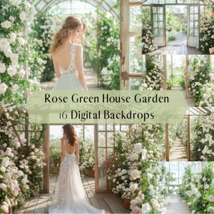 Rose Gewächshaus Garten digitale Kulissen, Sommer Blumengarten, Familie, Engagement Mutterschaft Fotografie digitaler Hintergrund, Photoshop Overlays
