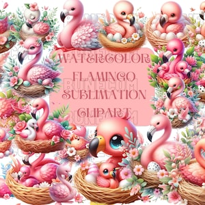 Watercolor Cute Flamingo Clipart, Beach Flamingo Nursery, Pink Tropical Flower Summer Animal Girl Kids Birthday Party Bundle Png
