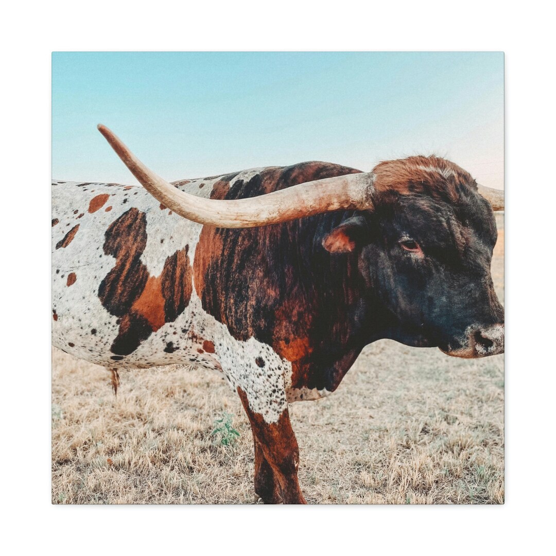 Iron Dragon Longhorn Bull Square Canvas Photography Print Western Wall