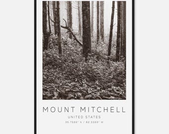 Mount Mitchell United States Travel Photo Poster BW, Mount Mitchell Travel Print, Minimalist Travel Poster Print