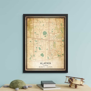 Vintage Alafaya Florida kaart print poster aangepaste kaart kunst