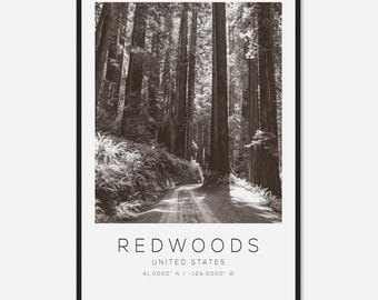 May include: Black and white photograph of a redwood forest with a dirt road winding through the trees. The word "REDWOODS" is printed at the bottom, along with "UNITED STATES" and coordinates.