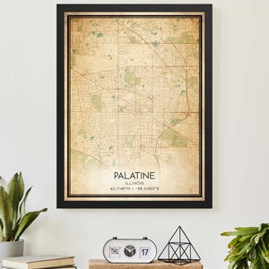 Poster con mappa vintage dell'Illinois del Palatino, stampa mappa personalizzata