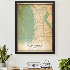 Vintage Palm Harbor Florida kaart afdrukken Poster aangepaste kaart kunst