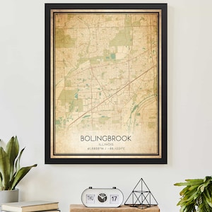 Poster con mappa vintage di Bolingbrook, Illinois, stampa mappa personalizzata