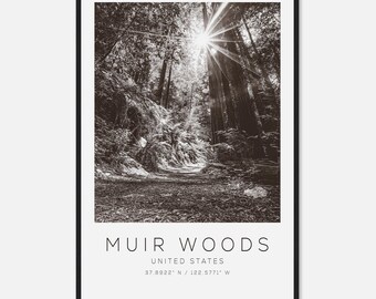 Muir Woods United States Travel Photo Poster BW, Muir Woods Travel Print, Minimalist Travel Poster Print