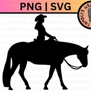 May include: Silhouette of a person riding a horse. The person is wearing a cowboy hat and the horse is walking. The image is in black and white.