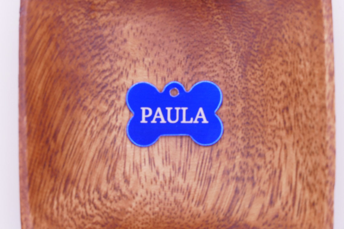 Personalisiertes Hunde Halsband Anhänger Mit Foto - Edelstahl Marke Für Haustiere