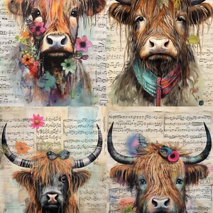 Highland cow png files