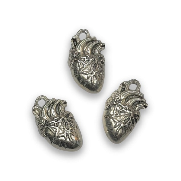 Anatomical heart Tibetan silver charm pendant favour jewellery craft body organ UK