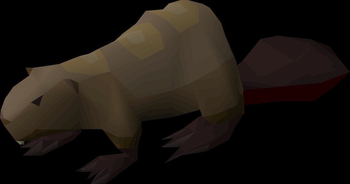 Where Is The Stray Dog In Varrock