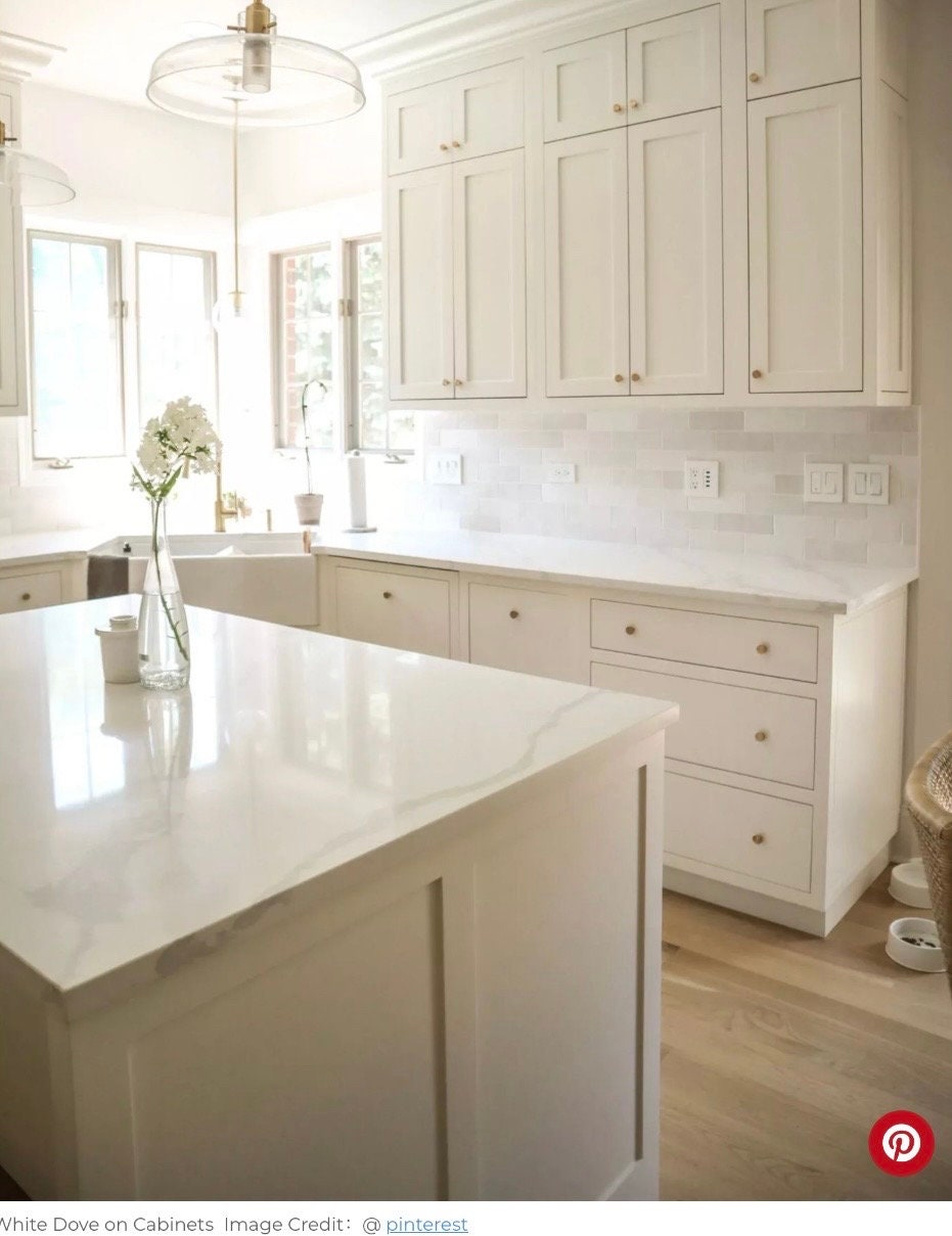 Neutral Cabinet Color Palette for Home Interior Paint Palette for ...
