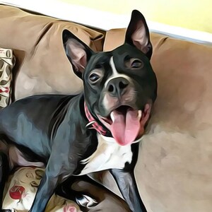 Pitbull Print -Happy Pitty Time