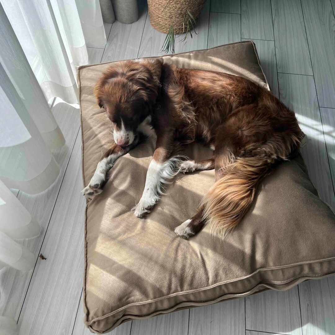Handmade Dog Bed Foal Feather Mattress Removable & Washable Etsy