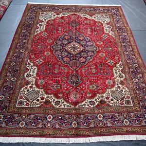 8x11 Red Medallion Wool Rug: Hand-Knotted Afghan Persian Carpet
