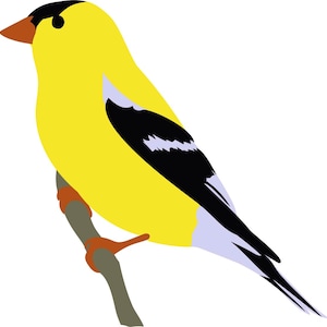 May include: A yellow bird with black wings and a black head perched on a branch. The bird has a small, orange beak.