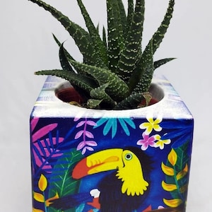 May include: A square concrete planter with a tropical print featuring a toucan, flowers, and leaves. The planter is painted in shades of blue, green, yellow, pink, and orange. A small green succulent plant is growing in the planter.
