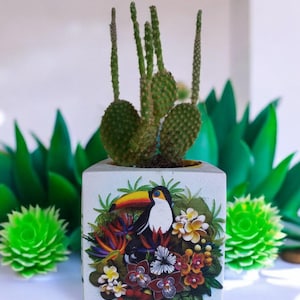 May include: A square, light-colored planter pot with a toucan and floral design, holding a small cactus. The cactus has green, rounded pads and tall, slender stems. Artificial green plants are in the background.
