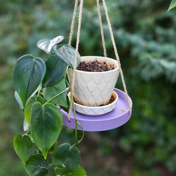 Hanging Planter Tray: Modern Indoor Plant Decor, Hemp Rope - Etsy