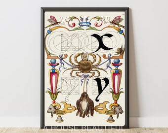 The Letters x y from The Model Book of Calligraphy (1561–1596) | Wall Art | Digital Print | Personalized Unique Art