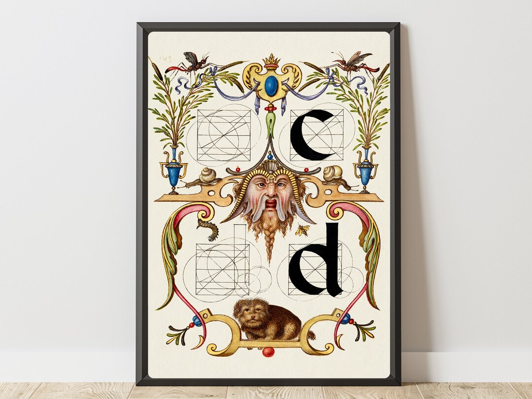 Las letras c d del libro modelo de caligrafía 1561-1596 / Arte mural ...